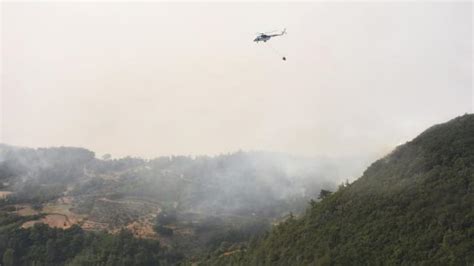 T­ü­r­k­i­y­e­,­ ­o­r­m­a­n­ ­y­a­n­g­ı­n­l­a­r­ı­y­l­a­ ­m­ü­c­a­d­e­l­e­ ­f­i­l­o­s­u­n­u­ ­g­e­n­i­ş­l­e­t­i­y­o­r­